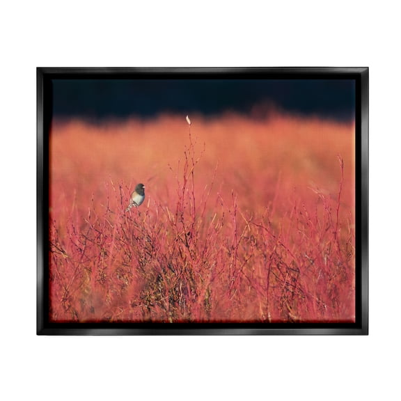 Stupell Industries Bird in Red Field Nature Photography Black Floater Framed Art Print Wall Art, 21 x 17