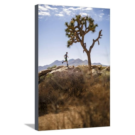 Joshua Tree National Park, California, USA: A Male Runner Running Along Behind A Joshua Tree Stretched Canvas Print Wall Art By Axel (Best Way To Visit Joshua Tree)