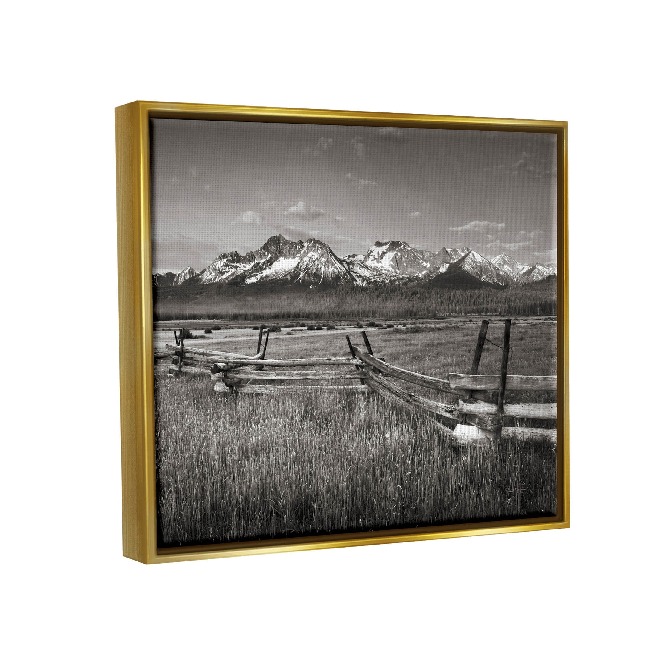Stupell Industries Stanley Basin Fence Photography Photograph Metallic Gold Floating Framed Canvas Print Wall Art, Design by Alan Majchrowicz