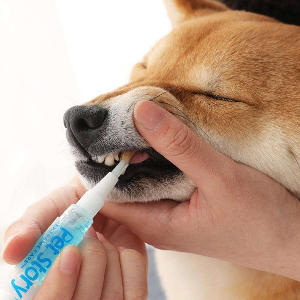 Pet Teeth Cleaning Kit Pet Beauty Toothbrush Dog Cat Tartar Dental