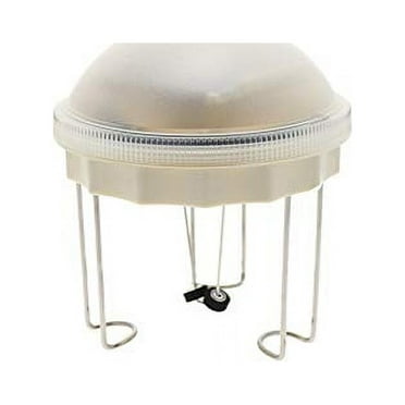 Allied Precision Bird Scene 8WW Solar Water Wiggler, 5 Inch, Gray