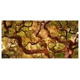 thumbnail image 1 of Great BIG Canvas | Rolled Moises Levy Poster Print entitled Japanese Maple I, 1 of 4
