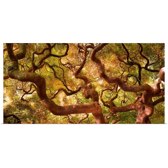 Great BIG Canvas | Rolled Moises Levy Poster Print entitled Japanese Maple I
