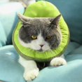 thumbnail image 5 of Cat Elizabeth Circle Cute Toast Bread Elizabeth Circle Cat Anti-Licking Bib (Gre, 5 of 5