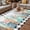 Black, variant on Watercolor Marine Life Outdoor Rug for Patio/Deck/Porch, Non-Slip Large Area Rug 3 x 5 Ft, Ocean Corals Shells Starfish Blue Plaid Indoor Outdoor Rugs Washable Area Rugs, Camping Rug Carpet Runner
