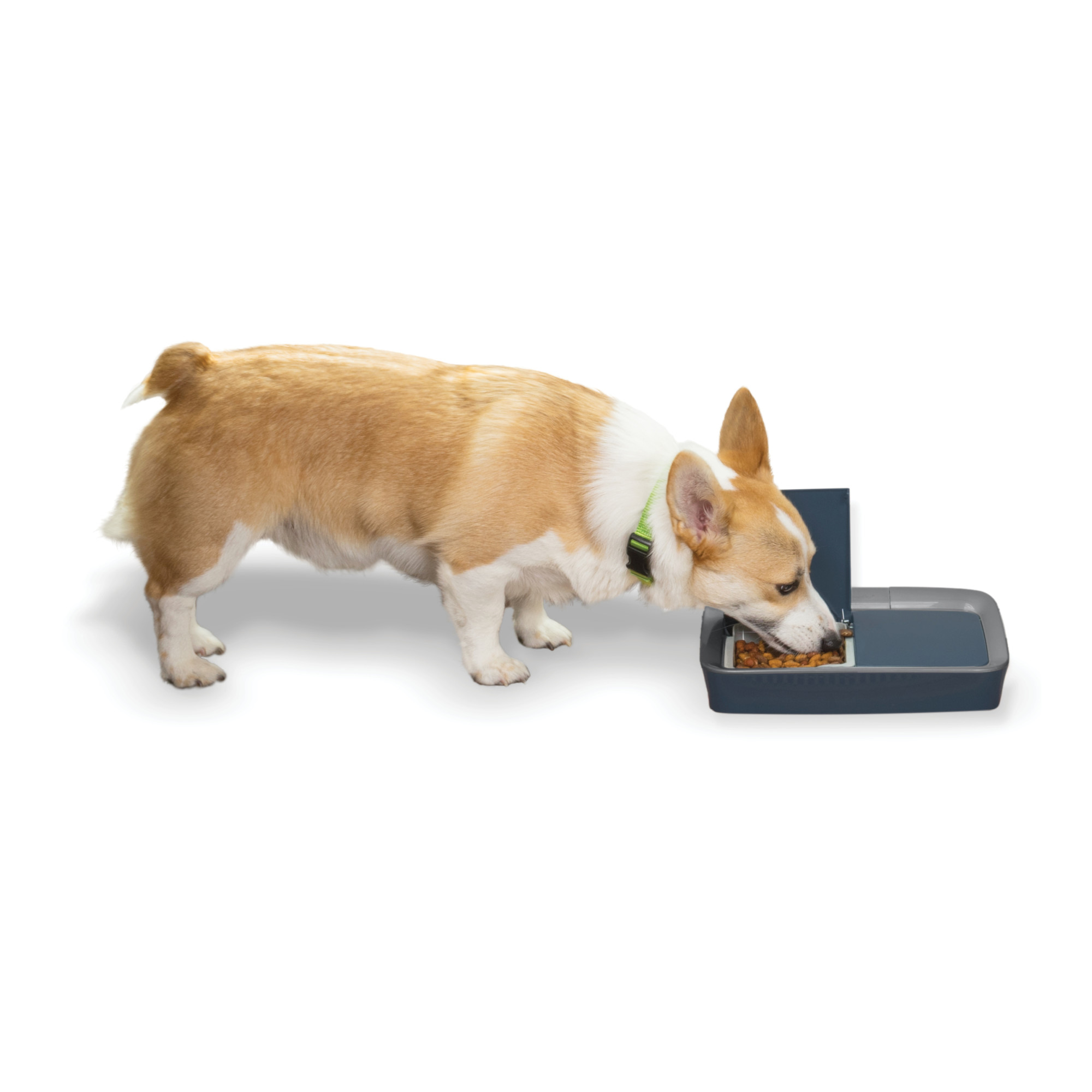 2枚で送料無料 新品PetSafe Digital Meal Pet Feeder, Programmable Automatic Cat and  Dog Food Dispenser, Tamper-Resistant, Portion Control, Dry or Semi-M 