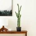 thumbnail image 5 of Vickerman 46" Artificial Green Cactus, Black Plastic Planters Pot., 5 of 5