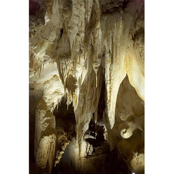 Danita Delimont PDDAU02DWA4011 Stalactites Ruakuri Caves North Island New Zealand Poster Print by David Wall, 23 x 34