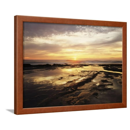 California, San Diego, Sunset Cliffs, Sunset Reflecting in Tide Pools Framed Print Wall Art By Christopher Talbot (Best Tide Pools Southern California)