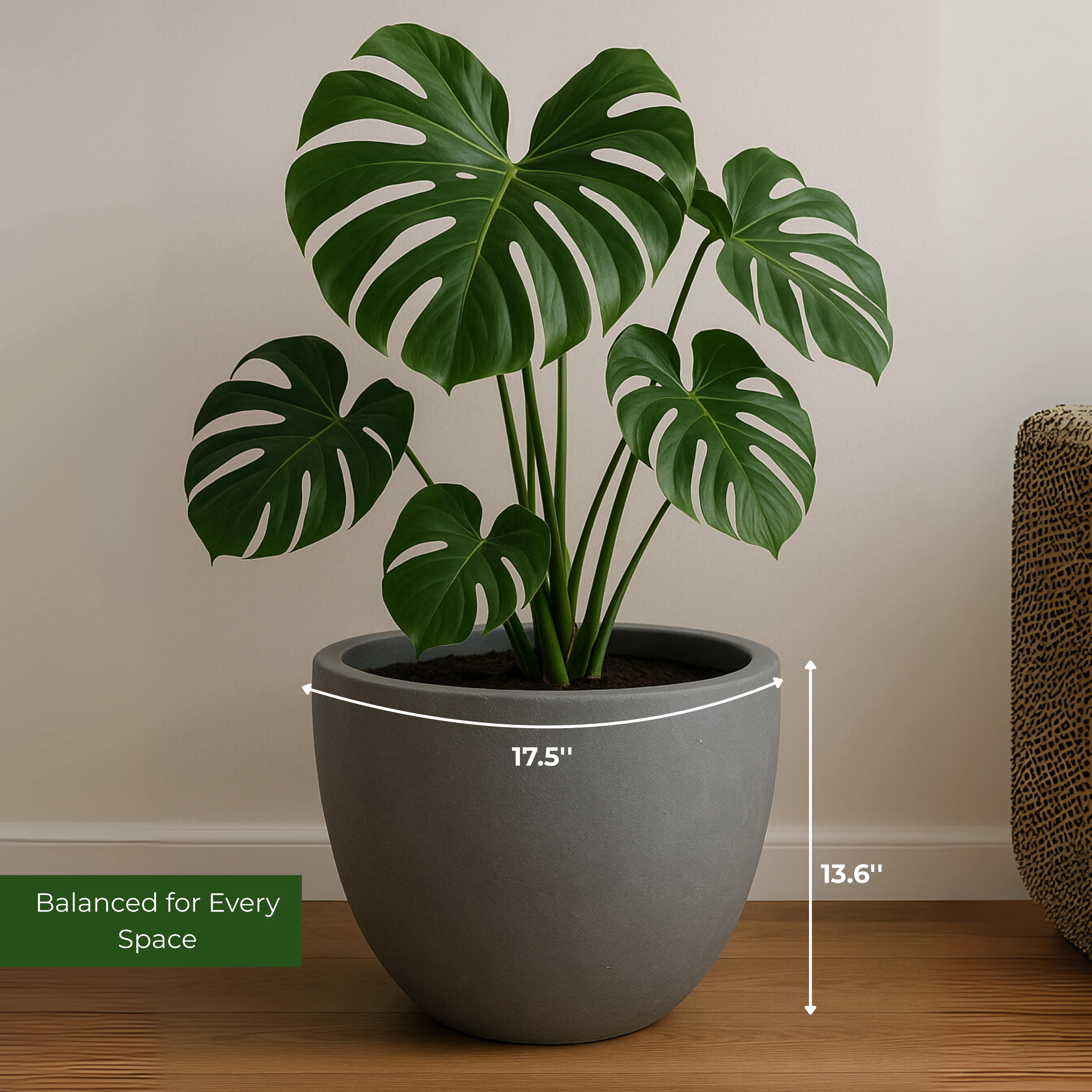 LeisureMod Dahlia Mid-Century Tapered Round Planter, Fiberstone & MgO Clay, Indoor/Outdoor Plant Pot