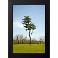 thumbnail image 2 of Millet, Karyn 17x24 Black Modern Framed Museum Art Print Titled - Tree II, 2 of 5