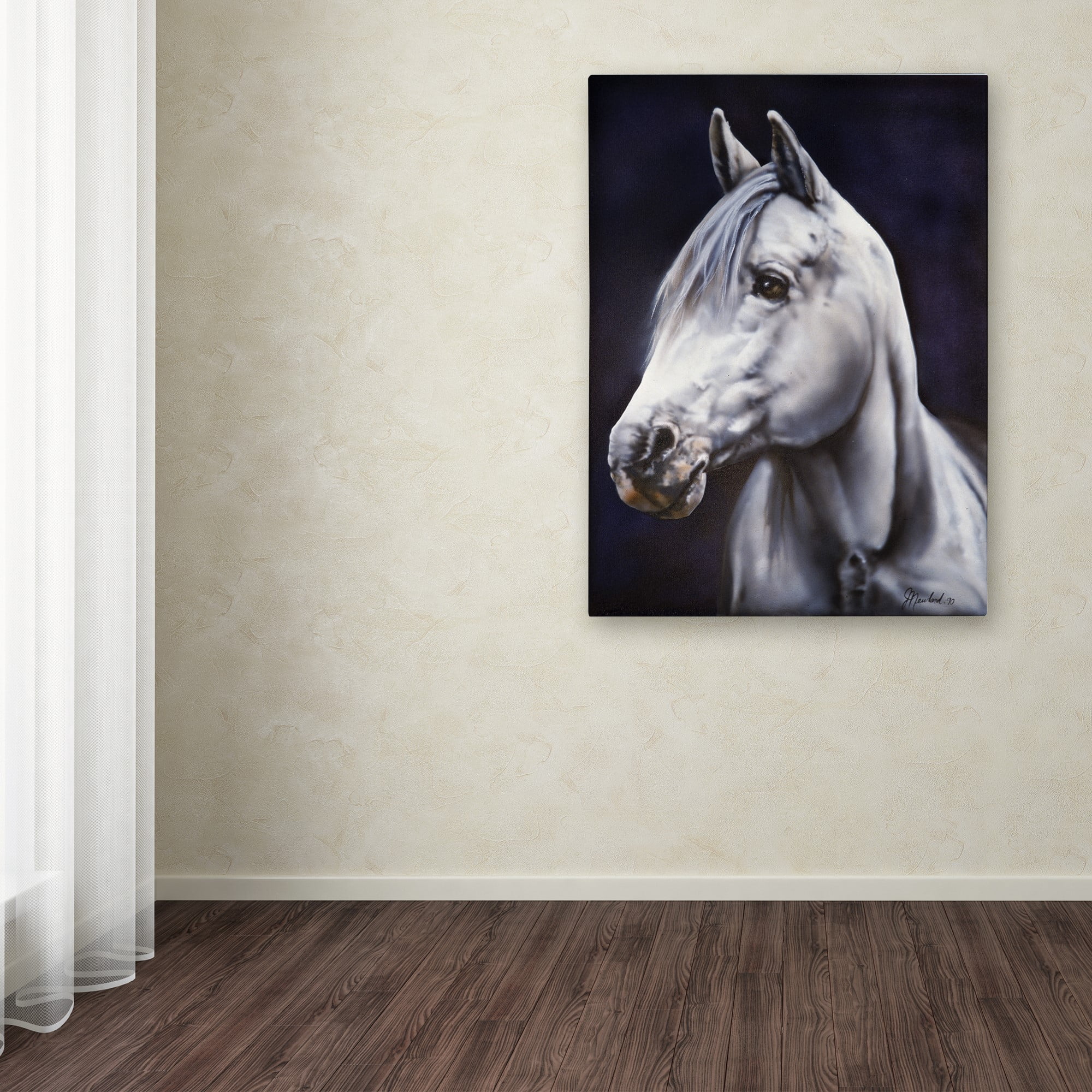 Trademark Fine Art 'White Arabian Stallion' Canvas Art by Jenny Newland