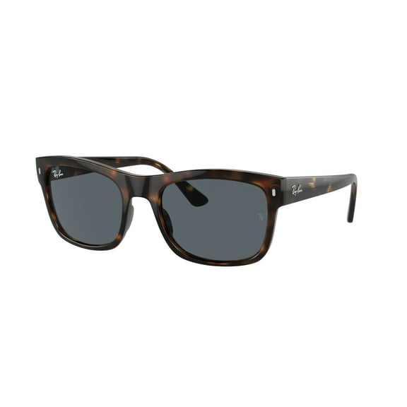Sunglasses Ray-Ban RB 4428 710/R5 Havana/Blue