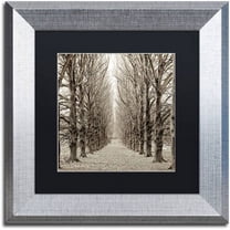 Trademark Fine Art "Hampton Gates Promenade III" Canvas Art by Alan Blaustein, Black Matte, Silver Frame