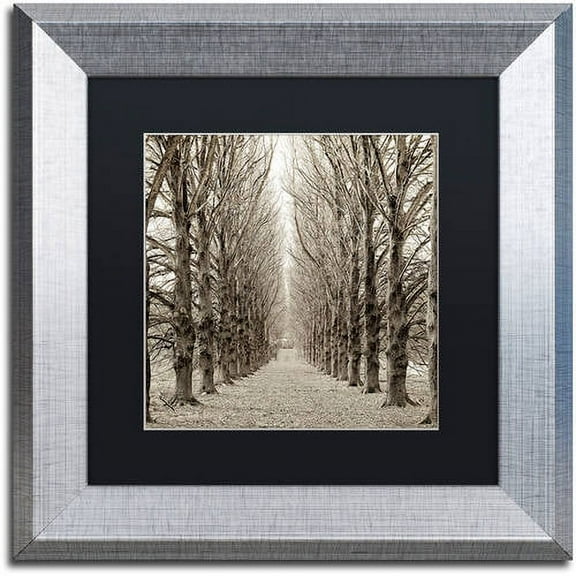 Trademark Fine Art "Hampton Gates Promenade III" Canvas Art by Alan Blaustein, Black Matte, Silver Frame