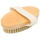 thumbnail image 4 of Cepillo corporal portátil exfoliante para eliminar la suciedad y las células muertas de la piel, cepillo de baño para ducha, 4 of 15