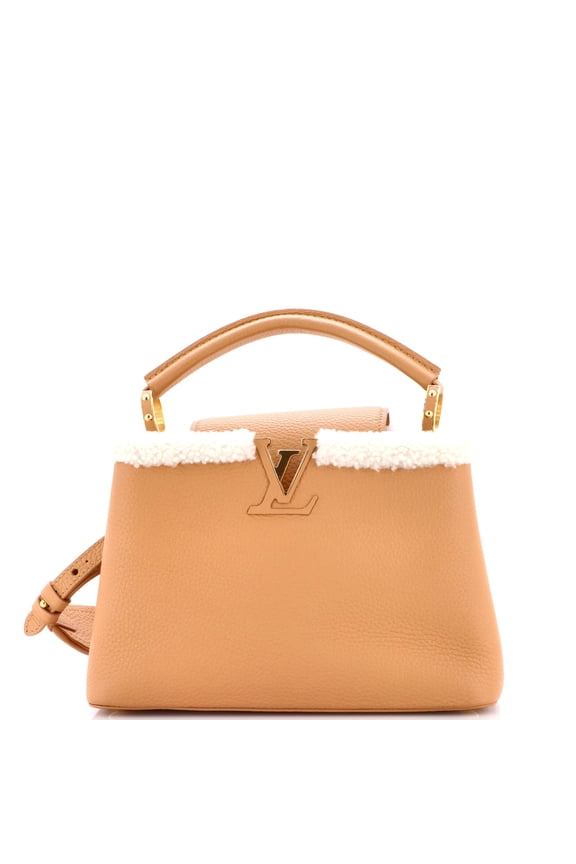 Pre-Owned Capucines Bag Leather with Shearling BB By Rebag