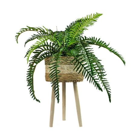 LCG Florals 38" Artificial Trailing River Fern in Tri-Color Tripod Basket Stand