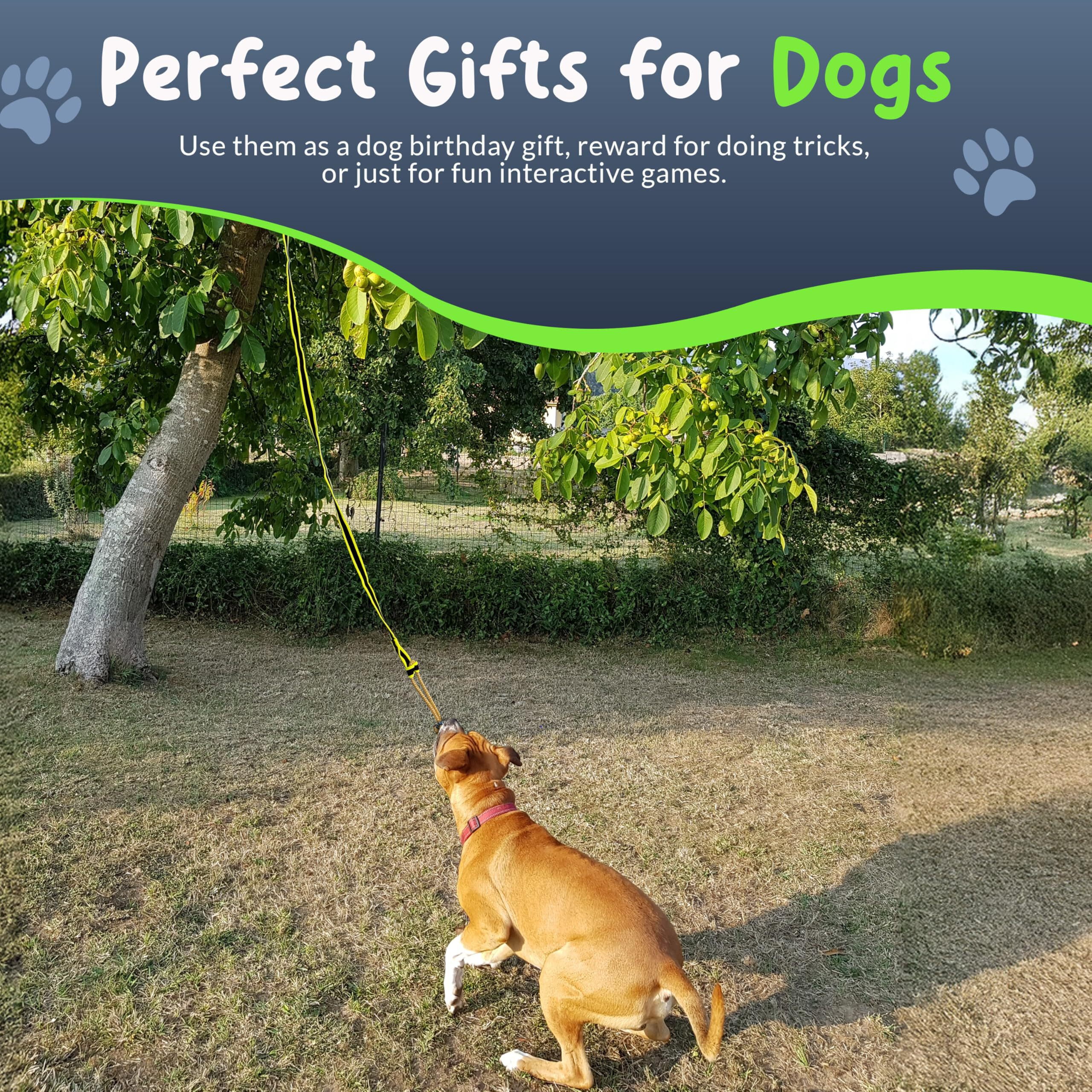 Petite Paws Tree Rope Toy for Dogs — Bungee Tug War Toy for Outdoor Exercise & Play