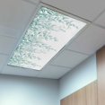 thumbnail image 2 of 4 Pack Green Leaf Fluorescent Light Covers for Ceiling Lights Eucalyptus Leaves Spring Plant Farmhouses Magnetic Ceiling Light Covers Overhead Light Filters for Office Classroom Home, 2 of 9