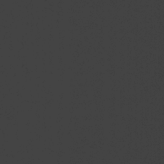 Carbon (Black)