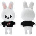 thumbnail image 4 of Peluche de conejo blanco para niños, peluche de Stray Skzoo de 20,8 cm, bonito peluche de Skzoo, muñeco de peluche suave de Skz para niños, 4 of 5