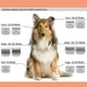 thumbnail image 4 of Cuchillas de cerámica para el aseo de mascotas y perros DODAER 40# compatibles con Andis, 4 of 7