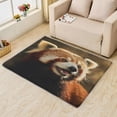 thumbnail image 2 of Red Panda Bedroom Rug - 5x8 Rug - Red Panda Rug - Cute Forest Animal Area Rug - Kids Woodland Animal Rugs - Wildlife Carpet, 2 of 7
