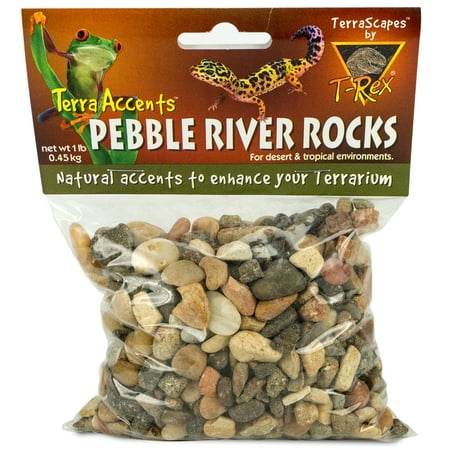 - T-Rex Terra Accents Pebble River Rocks