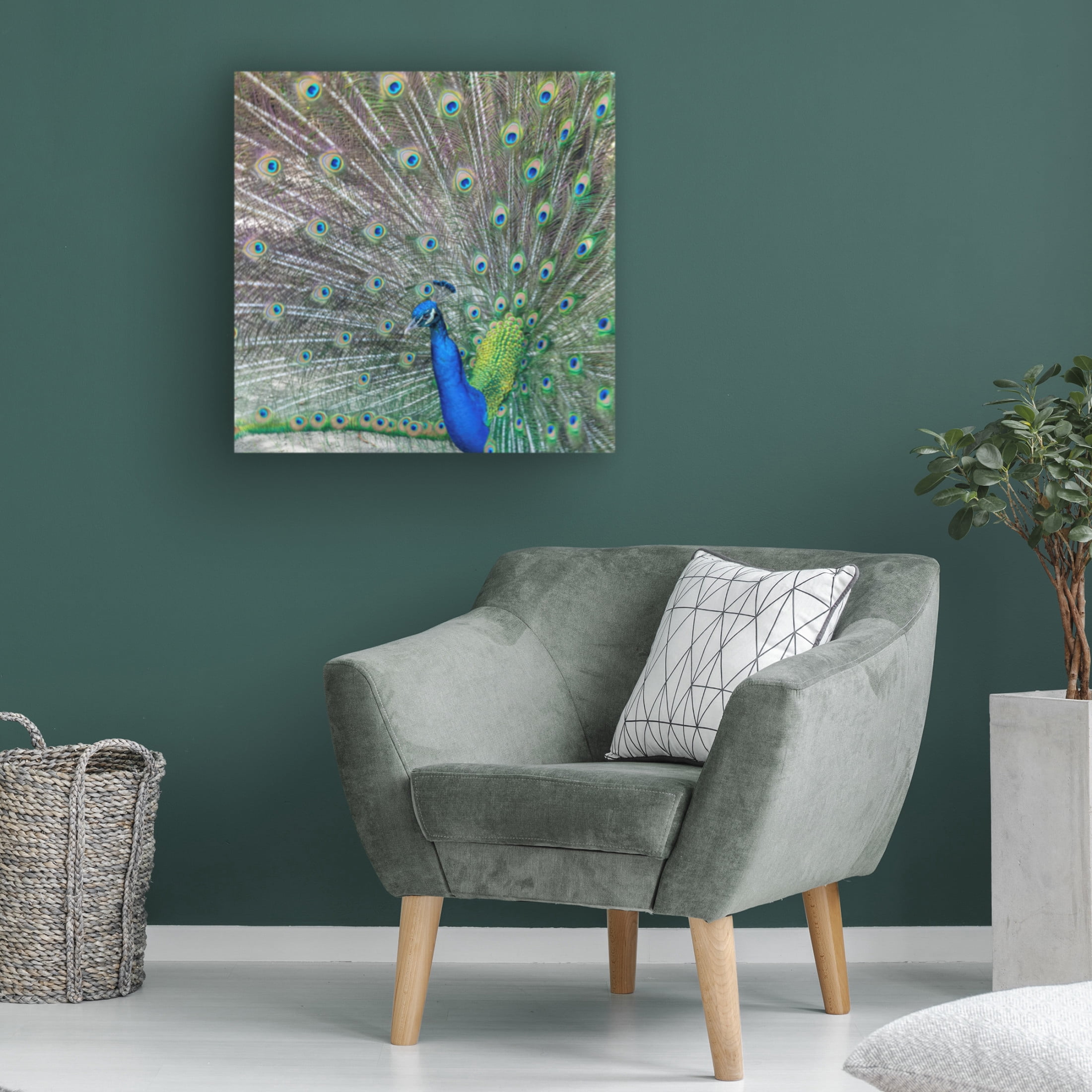 Canvas Wall Art - Danny Head 'Proud' Wall Art for Living Room, Bedroom, or Office Décor by Trademark Fine Art - 35 x 35 Inches