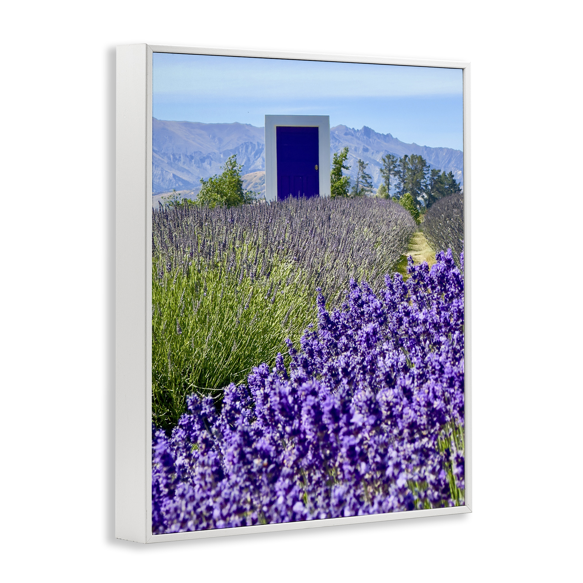 Stupell Industries Surreal Doorway Landscape Landscape Photography White Framed Art Print Wall Art, 24 x 30