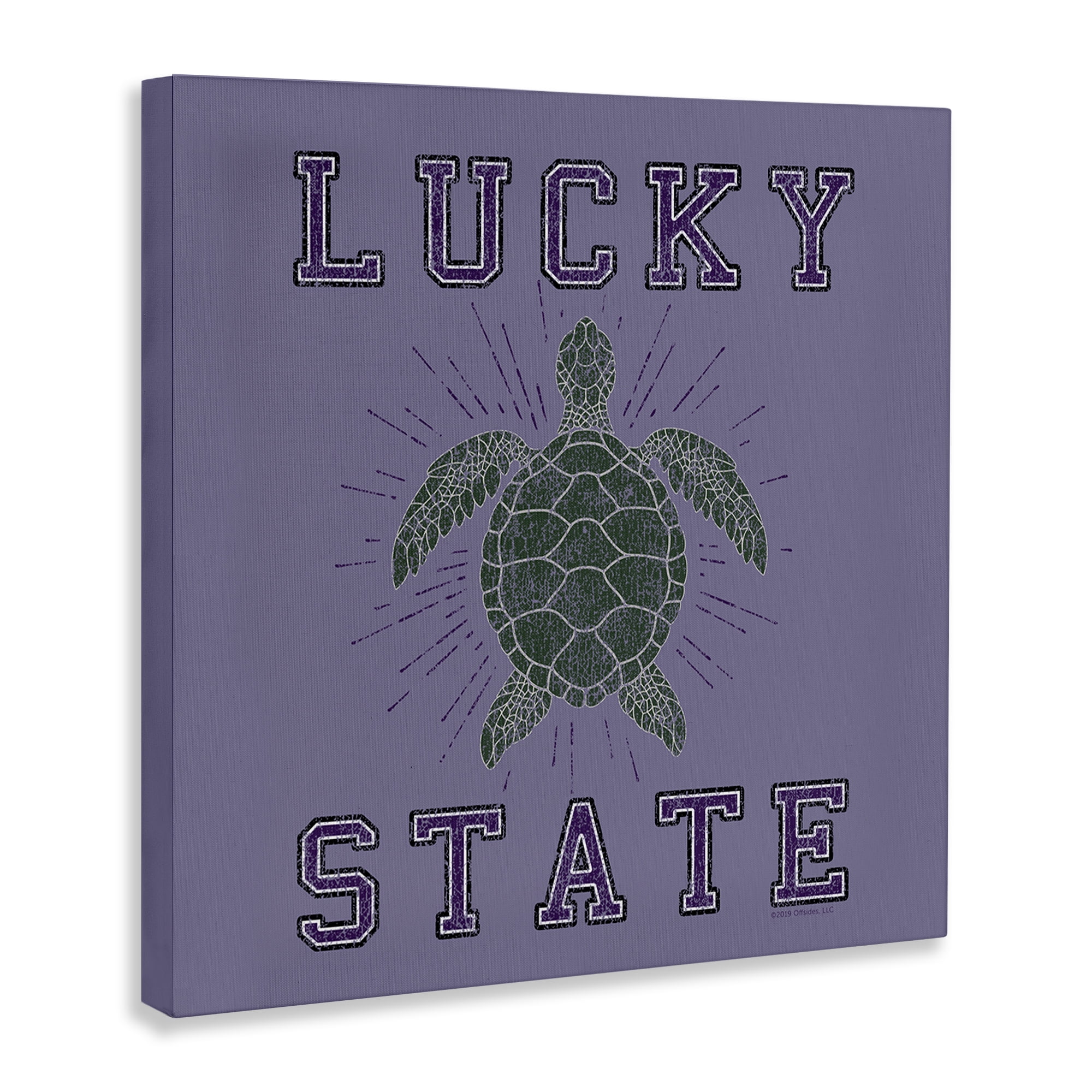 Stupell Industries Lucky Sea Turtle State Animals Painting Wrapped Canvas Art Print Wall Art, 36 x 36