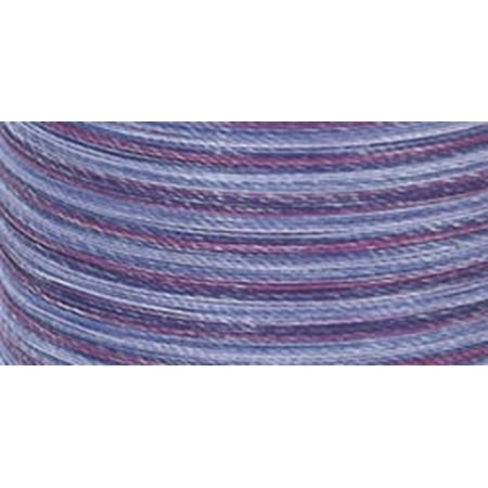 Multi Color Hand Quilting Thread - Dual Duty Plus Hand Quilting Multicolor Thread 250 Yards-Plum Shadows