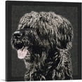 thumbnail image 1 of ARTCANVAS Briard Dog Breed Black White Canvas Art Print - Size: 26" x 26" (1.50" Deep), 1 of 9