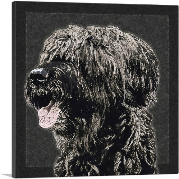 ARTCANVAS Briard Dog Breed Black White Canvas Art Print - Size: 18" x 18" (0.75" Deep)