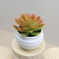 thumbnail image 2 of Mini Green Plant, Ongmies Green Artificial  In Plastic Pots Decor Aesthetics Home Decor Faux Plant Halloween for Women, Plastic Succulent Plant, 2 of 9