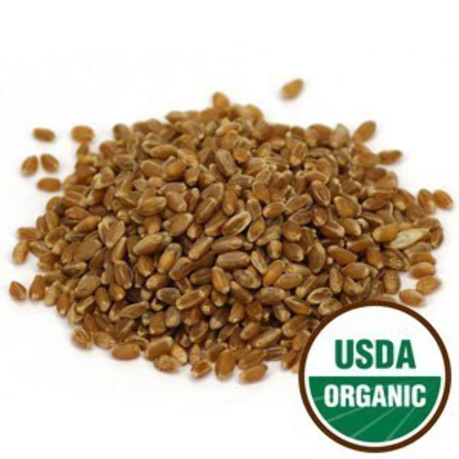 Wheatgrass Sprouting Seeds, Organic