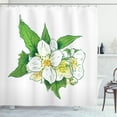 thumbnail image 1 of Ambesonne Jasmine Shower Curtain, Freshness and Purity, 69"Wx84"L, Lime Green White, 1 of 3