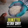 thumbnail image 5 of Sun Joe Chicken Coop Sand, Washed, Screened & Dried, Coarse Grade Poultry Bedding, 50 Lb, 5 of 5