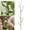 E57# Green,1PCS,28.3in, variant on Stackable Monstera Plant Support ,Climbing Plant Support Structures,Plant Stakes for Indoor and Outdoor Plants Use,Plant Holder Stick Moss Pole for Support Tall Potted Plants,Green,1PCS,28.3in