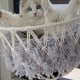 thumbnail image 5 of Cama para gatos con percha de ventana, asiento colgante seguro y ahorrador de espacio, hamaca para gatos con columpio para ventana, cesta colgante grande para gatos, marco de metal,, 5 of 8