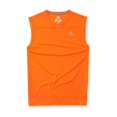 thumbnail image 1 of Aeropostale - Camiseta sin mangas para hombre, color naranja, grande Aeropostale  Camiseta sin mangas, 1 of 1