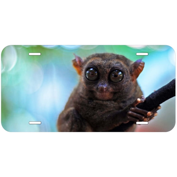 Monkey TAG15 Novelty Car Auto License Plate