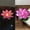 Pink, variant on QuanTara LED Waterproof Floating Candle Light – Realistic Flicker Effect Lotus Lamp – Battery Operated for Pool, Pond, Wedding, Party & Garden Décor