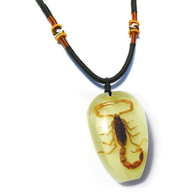 PYB1101 Real Bug Necklace-Scorpion