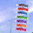 thumbnail image 1 of Dianhelloya Japanese Carp Windsocks - Vibrant Polyester Outdoor Wind Indicator for Garden, Party, and Home Decor (50cm), 1 of 8