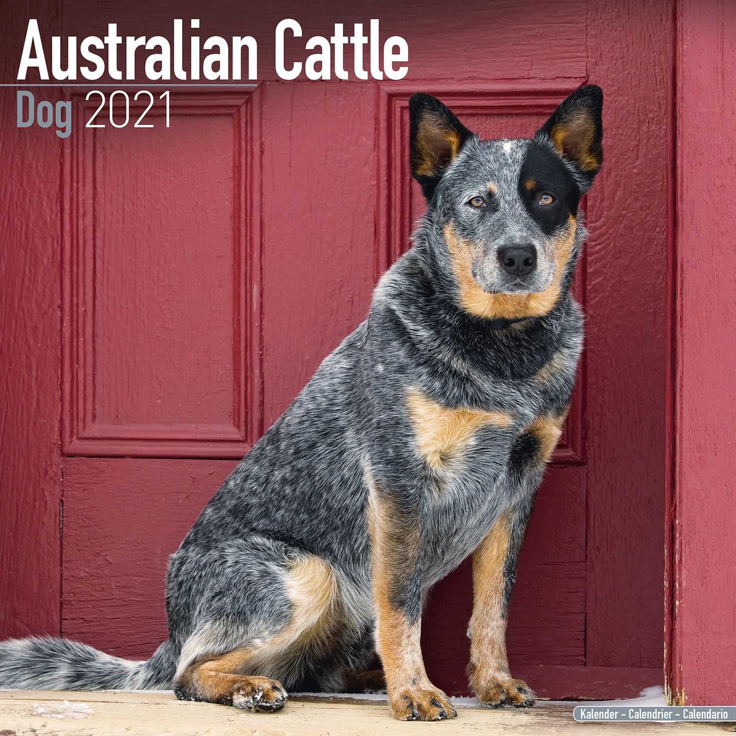 red australian cattle dog stuffed animal