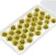 thumbnail image 4 of Modelo de mechones de Hierba de 32 piezas Baoblaze micro paisaje Hierba, 4 of 8