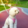 thumbnail image 6 of Dog Harness with Leash Set Adjustable Comfortable Puppy Mesh Pink XXS, 6 of 6