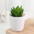 thumbnail image 5 of Artificial Potted Plants with White Plastic Pots for Home and Office Decor, Small Flower Arrangements for Indoor Spaces, 5 of 5